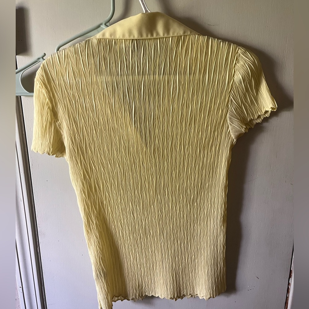 Sheer button up - Picture 4 of 5